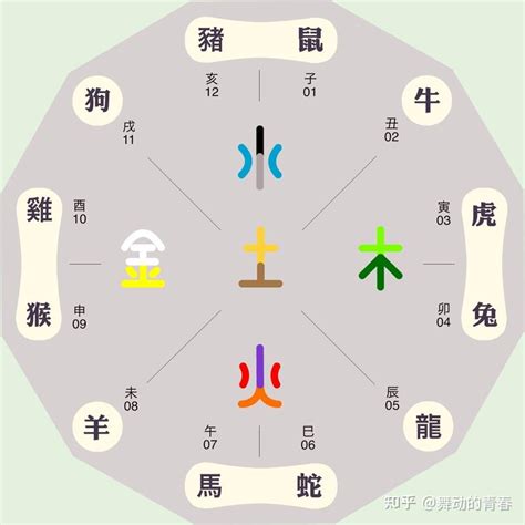 屬火生肖|五行屬火的生肖有哪些